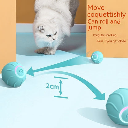 Smart Cat Rolling Ball