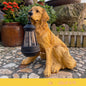 Solar Dog Lantern Garden Ornament