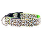 LED Safety Dog Collar