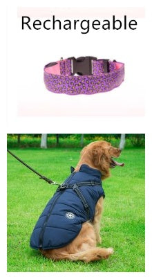 LED Safety Dog Collar