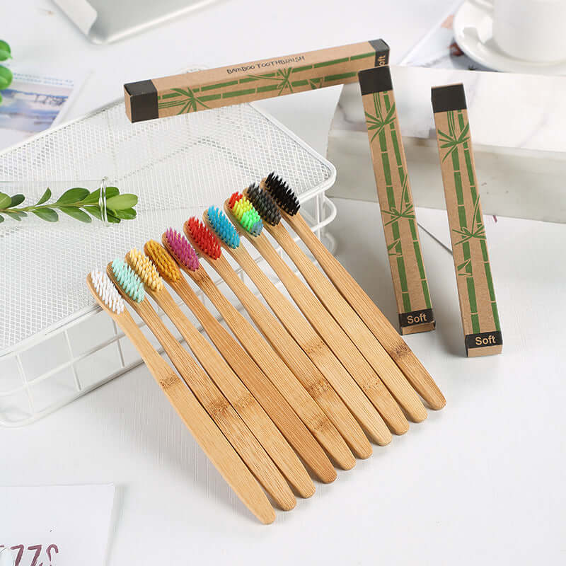 Single Natural Bamboo Toothbrush Plate Set (10-Pack)