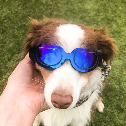 Colorful Dog Sunglasses