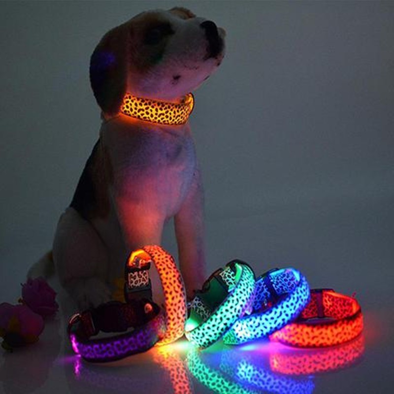 LED Safety Dog Collar