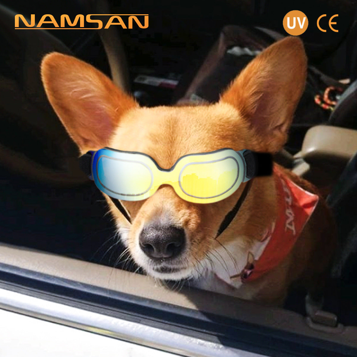 Colorful Dog Sunglasses