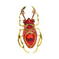 Diamond Glass Beetle Brooch Clothing Accessories