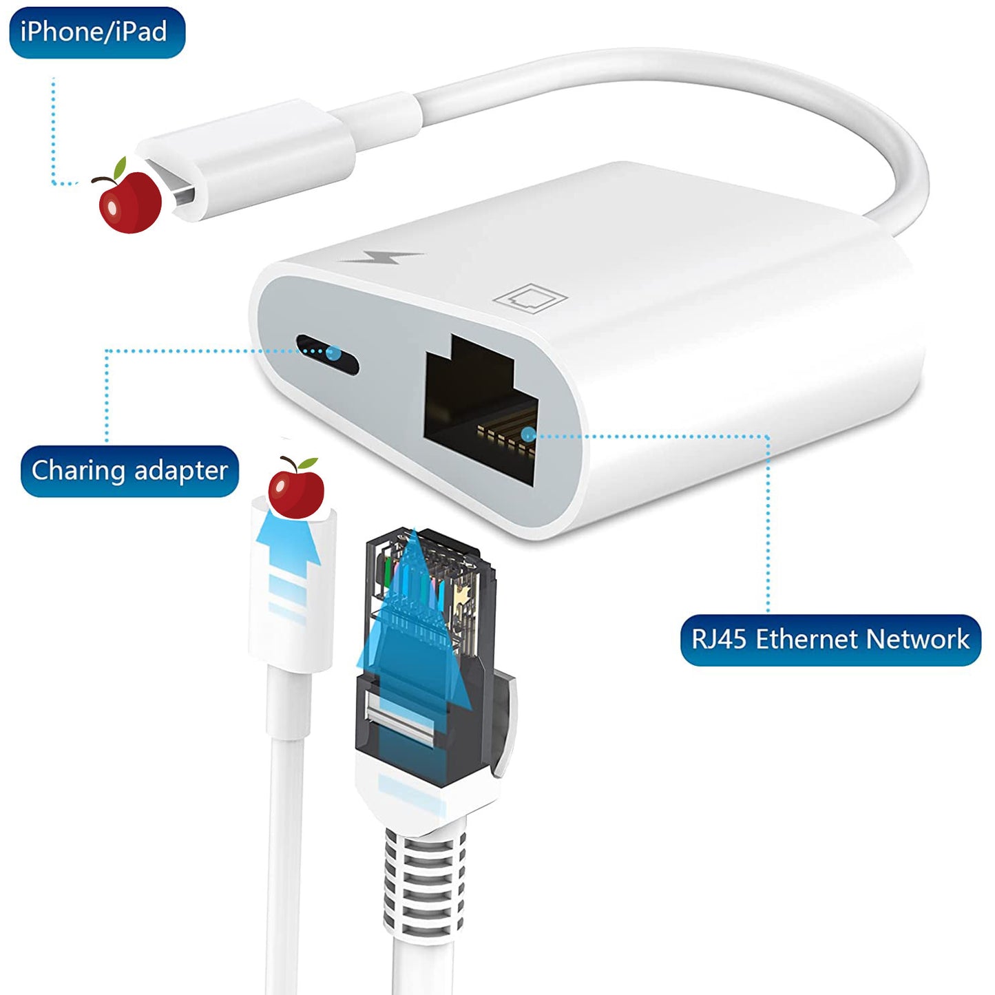 Network Card Connector Mobile Phone Connection Network Cable