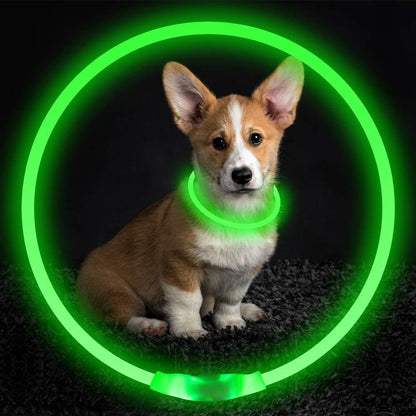 USB Glowing Pet Collar