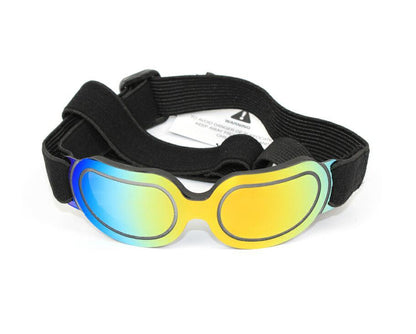 Colorful Dog Sunglasses