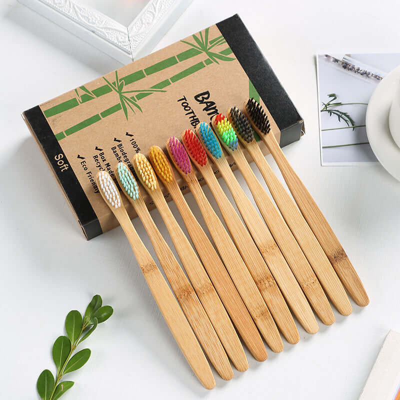 Single Natural Bamboo Toothbrush Plate Set (10-Pack)