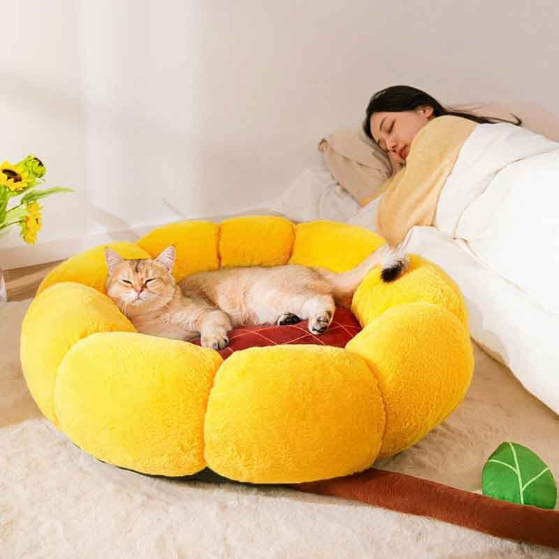 New Cat Nest Mat