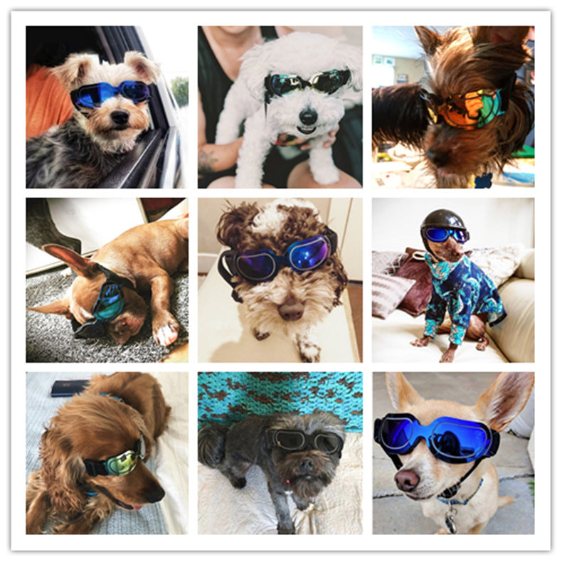 Colorful Dog Sunglasses