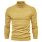 Men's Solid Color Slim Pullover Turtleneck Sweater Winter Casual Tops Clothing