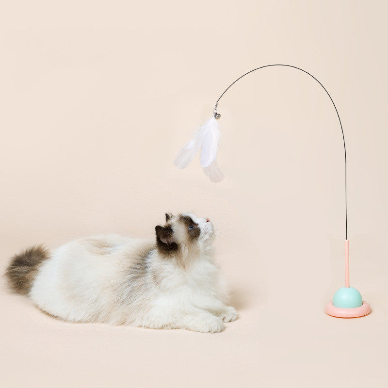 Interactive Fixed Household Pet Toys