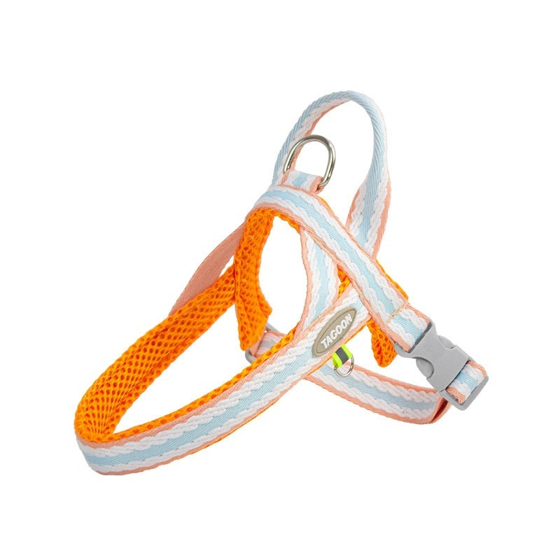 Dog Hand Holding Rope Walking Dog Lightweight Pet Harness