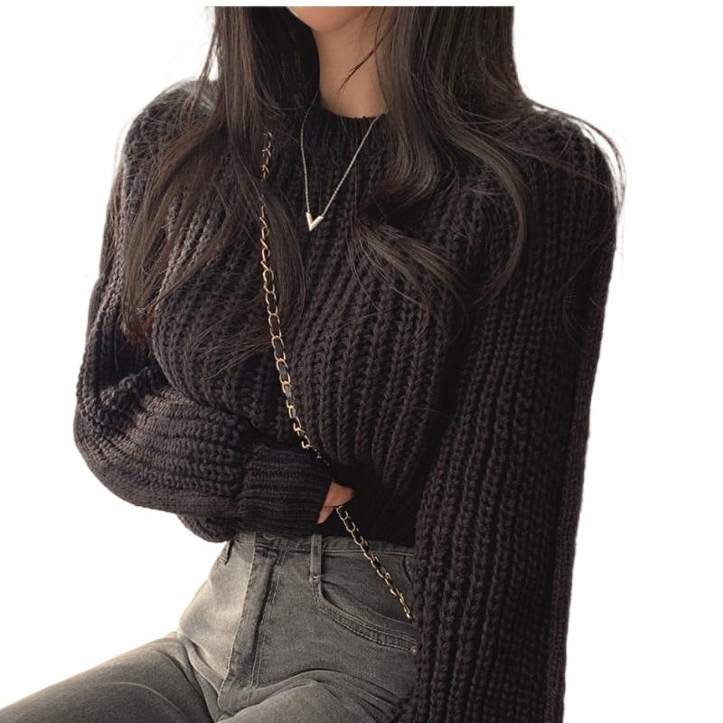 Versatile Crew Neck Pullover Sweater for Women