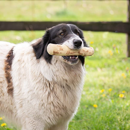 Dog Bite Molar Rod