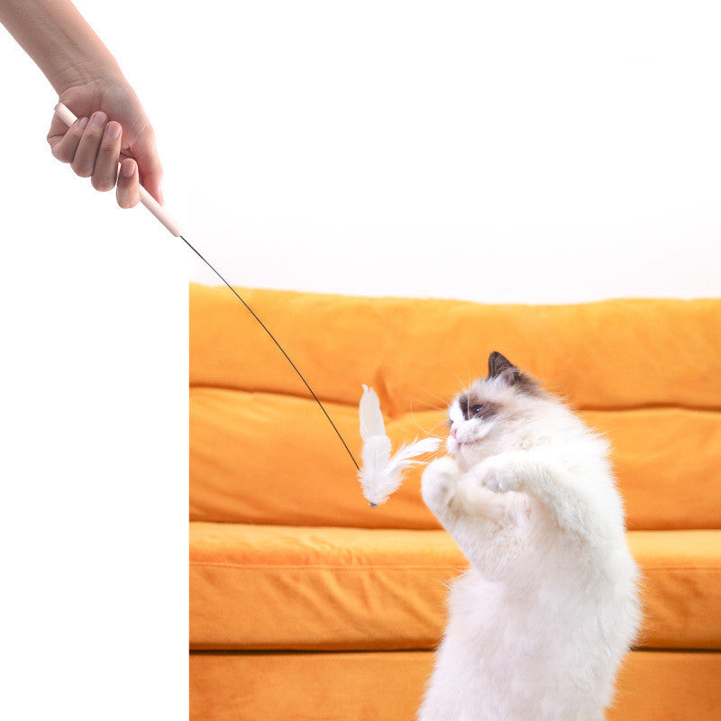 Interactive Fixed Household Pet Toys