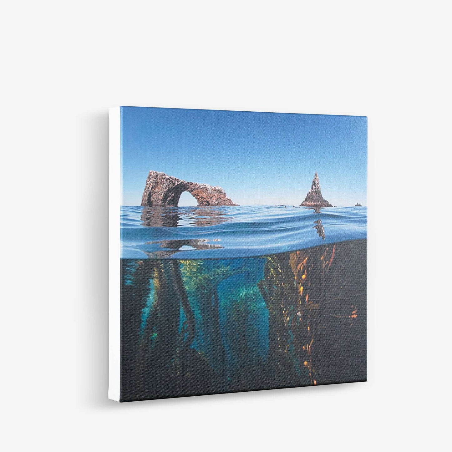 Exquisite Stretched Canvas Prints for Trade & Retail