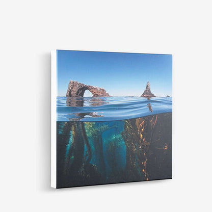 Exquisite Stretched Canvas Prints for Trade & Retail